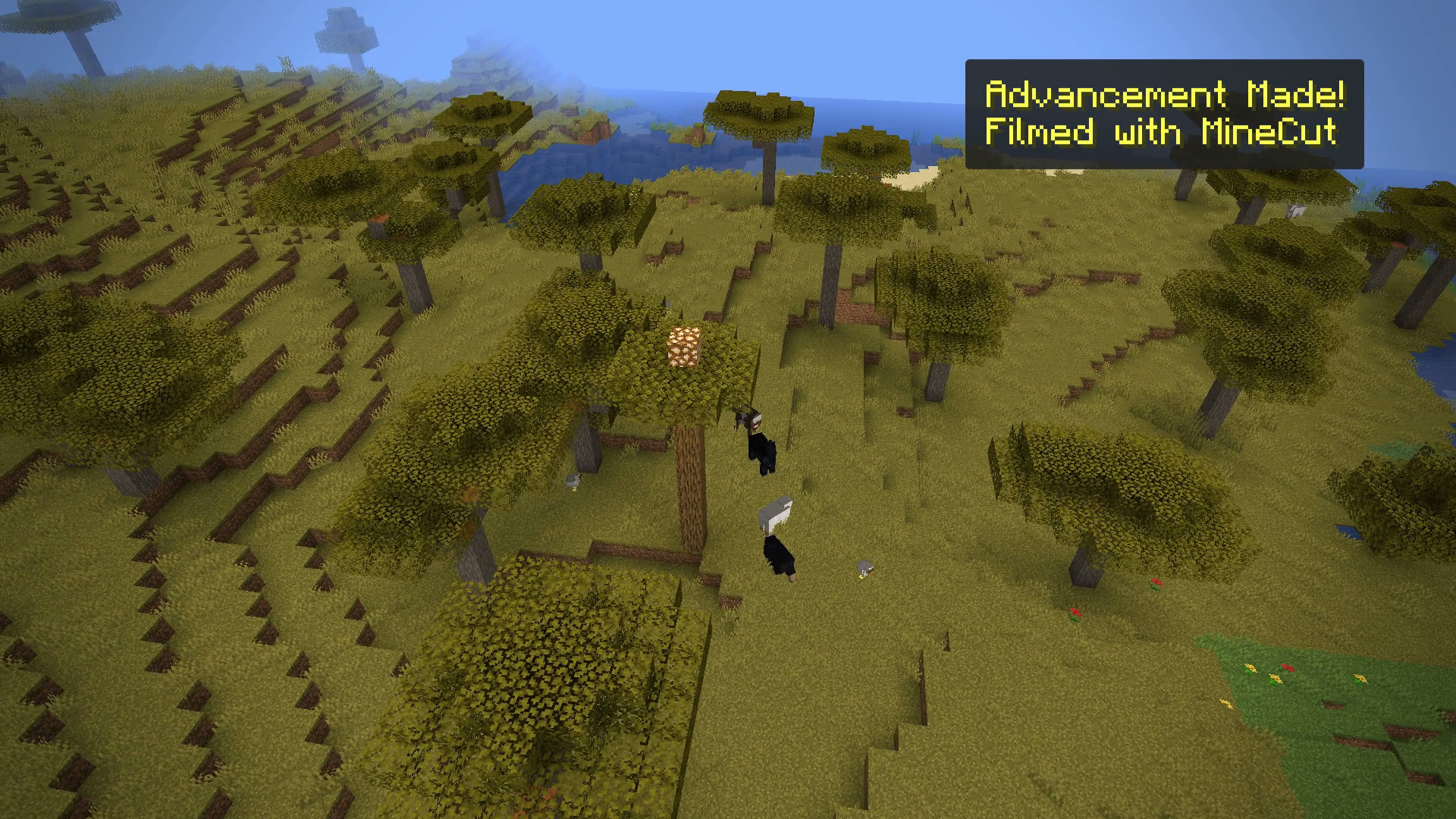 A frame from an exported video: savanna hills seen from above with an advancement style title in the corner
