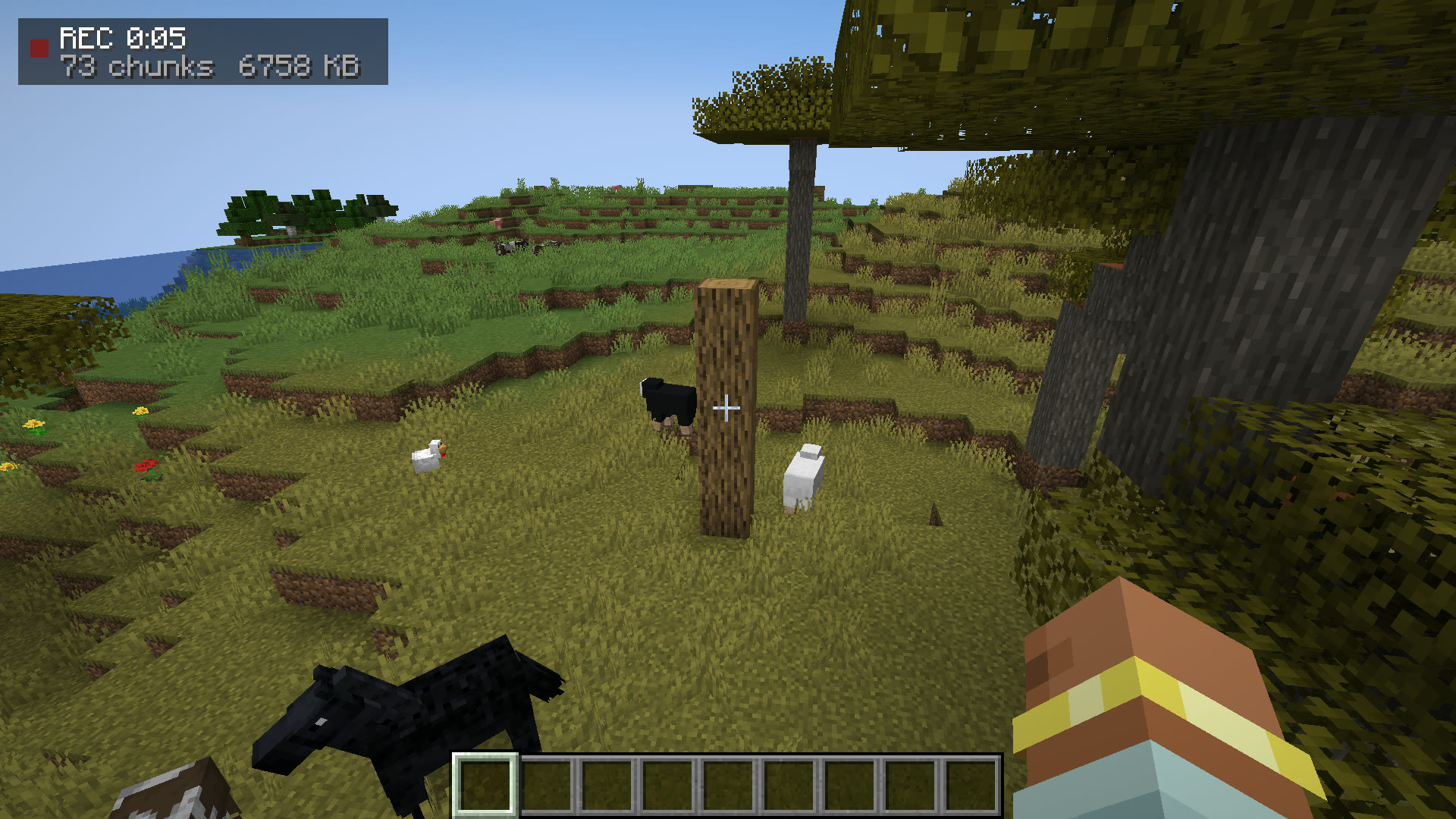 Minecraft with the small REC indicator in the corner